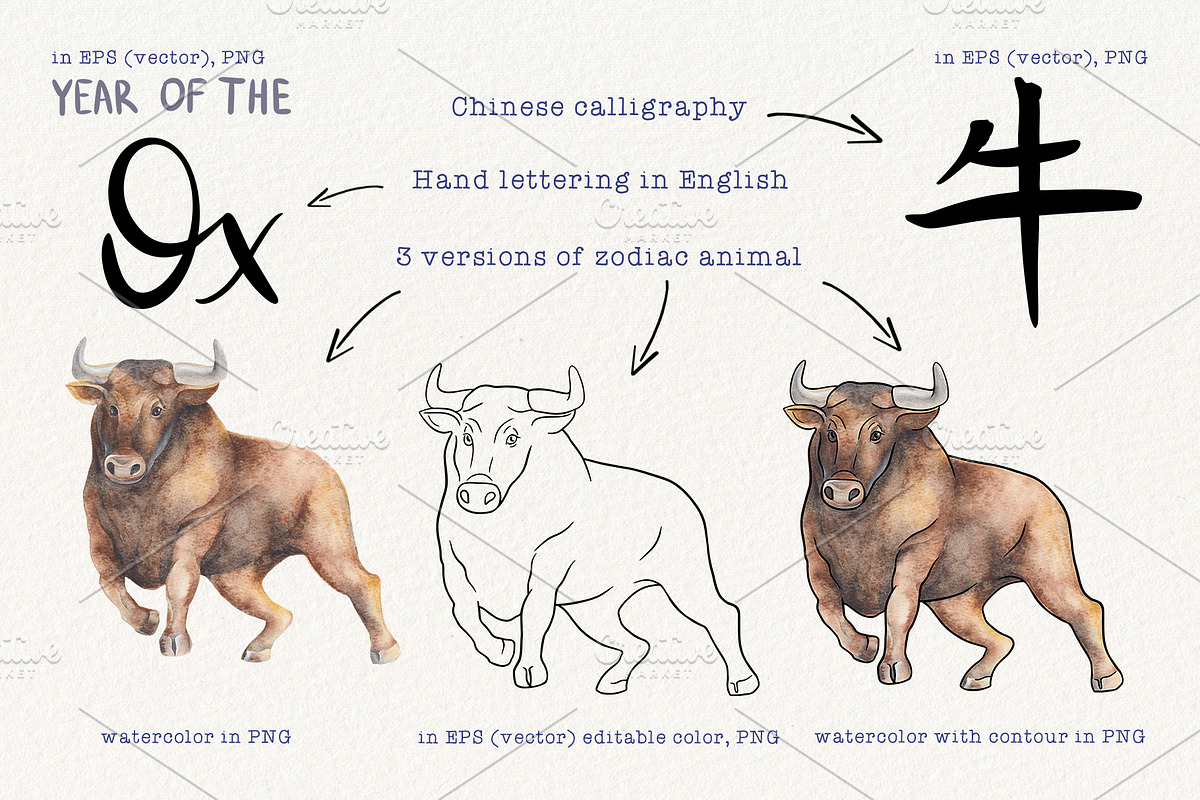 12 Chinese Zodiac Animals set, an Animal Illustration by Alena Solonshchikova (Photo 7 of 13)
