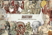Storytelling and Collage Kit, an Object Illustration by SNIPESCIENTIST (Thumbnail 27 of 44)