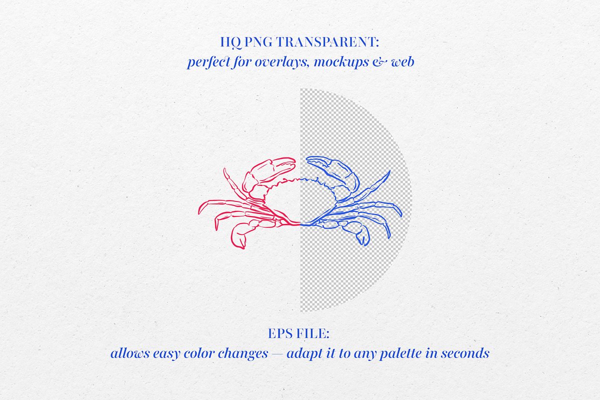 Ocean Ink – Hand-Drawn Illustration, an Object Graphic by Deveze Art & Co (Photo 3 of 6)