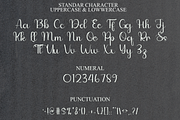 01 Frenchie, a Handwritten Font by FreshTypeINK (Thumbnail 9 of 9)