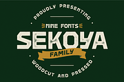 Sekoya Wood Type Family, a Sans Serif Font by Philippe Moesch (Thumbnail 1 of 7)