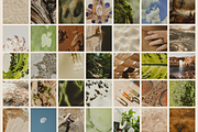 Natural Minimalist Photo Bundle, a Nature Photo by The Flossy Finch (Thumbnail 3 of 15)