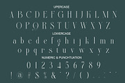 Beligat Elegant Ligature Serif, a Serif Font by Alfinart (Thumbnail 6 of 10)