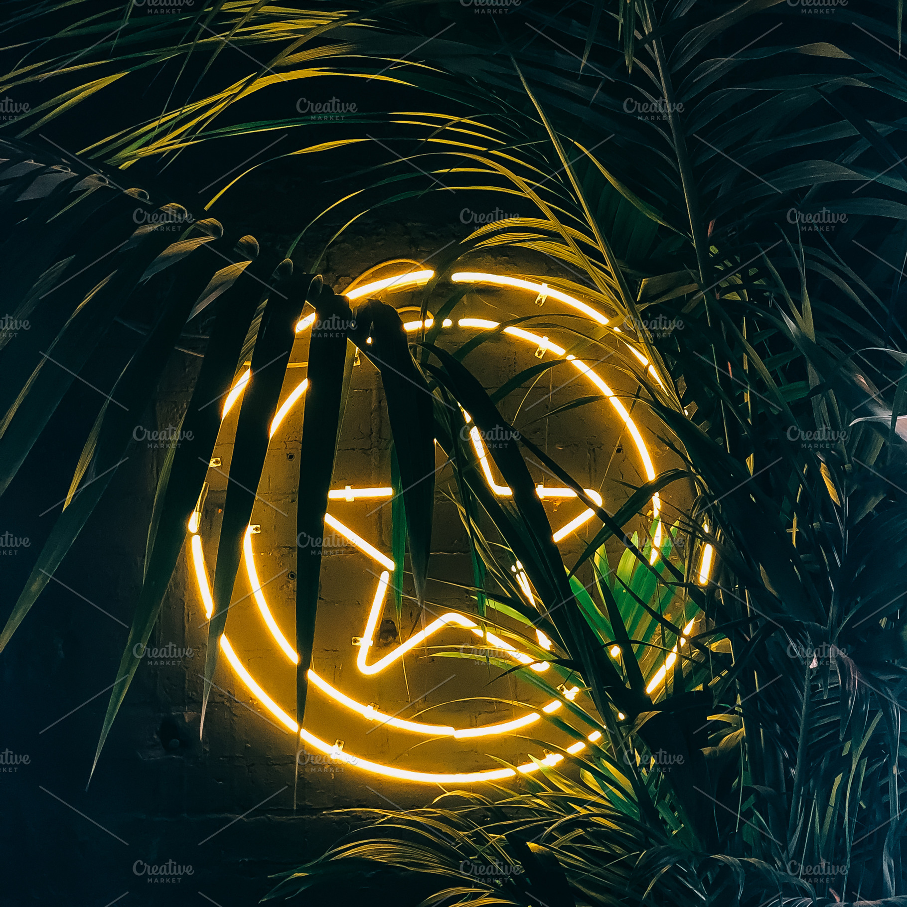 Neon peace sign glowing through trop, a Photo by Dvoevnore photos