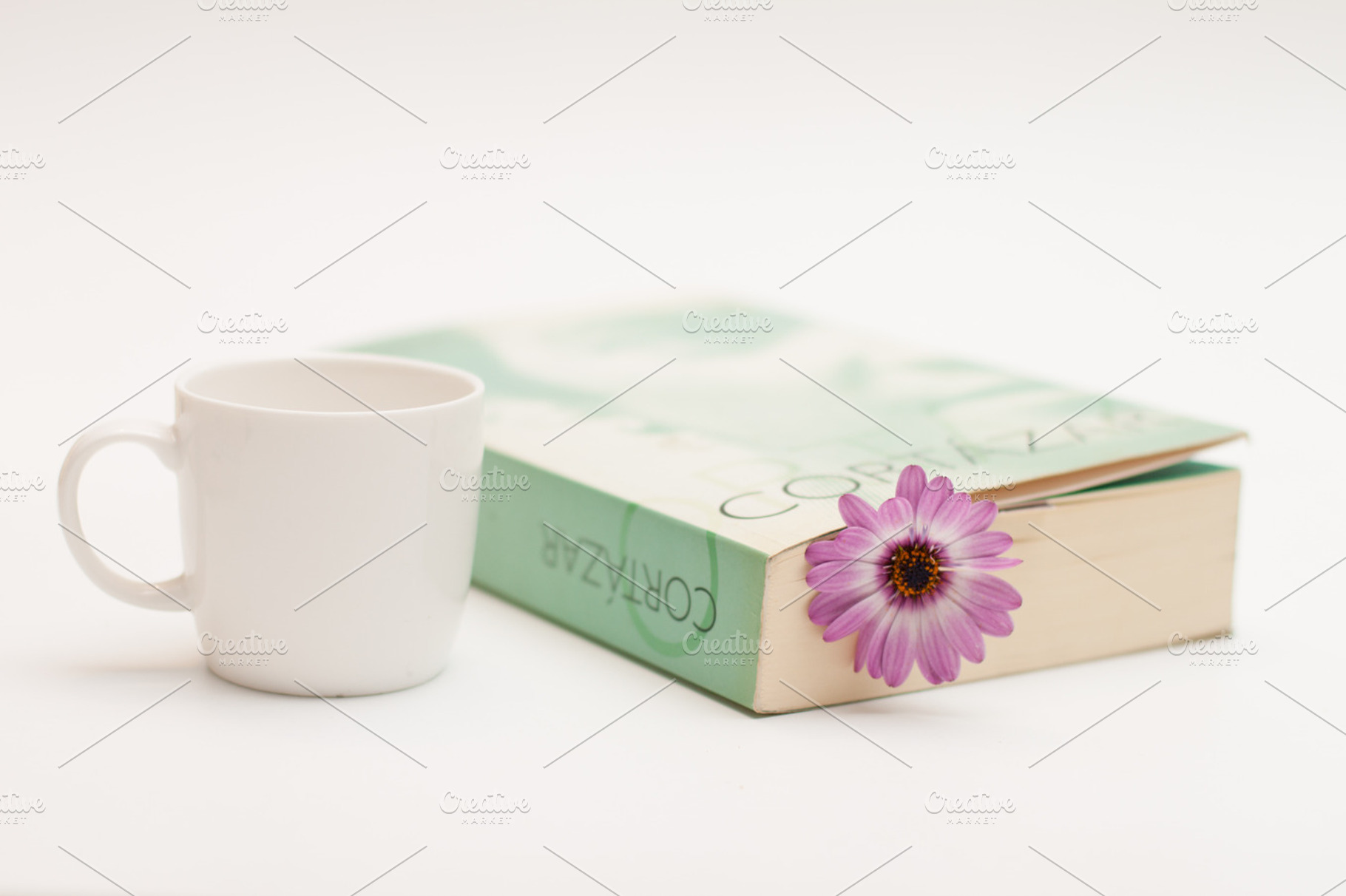 Flower And Book 3 Featuring Flower Book And Read