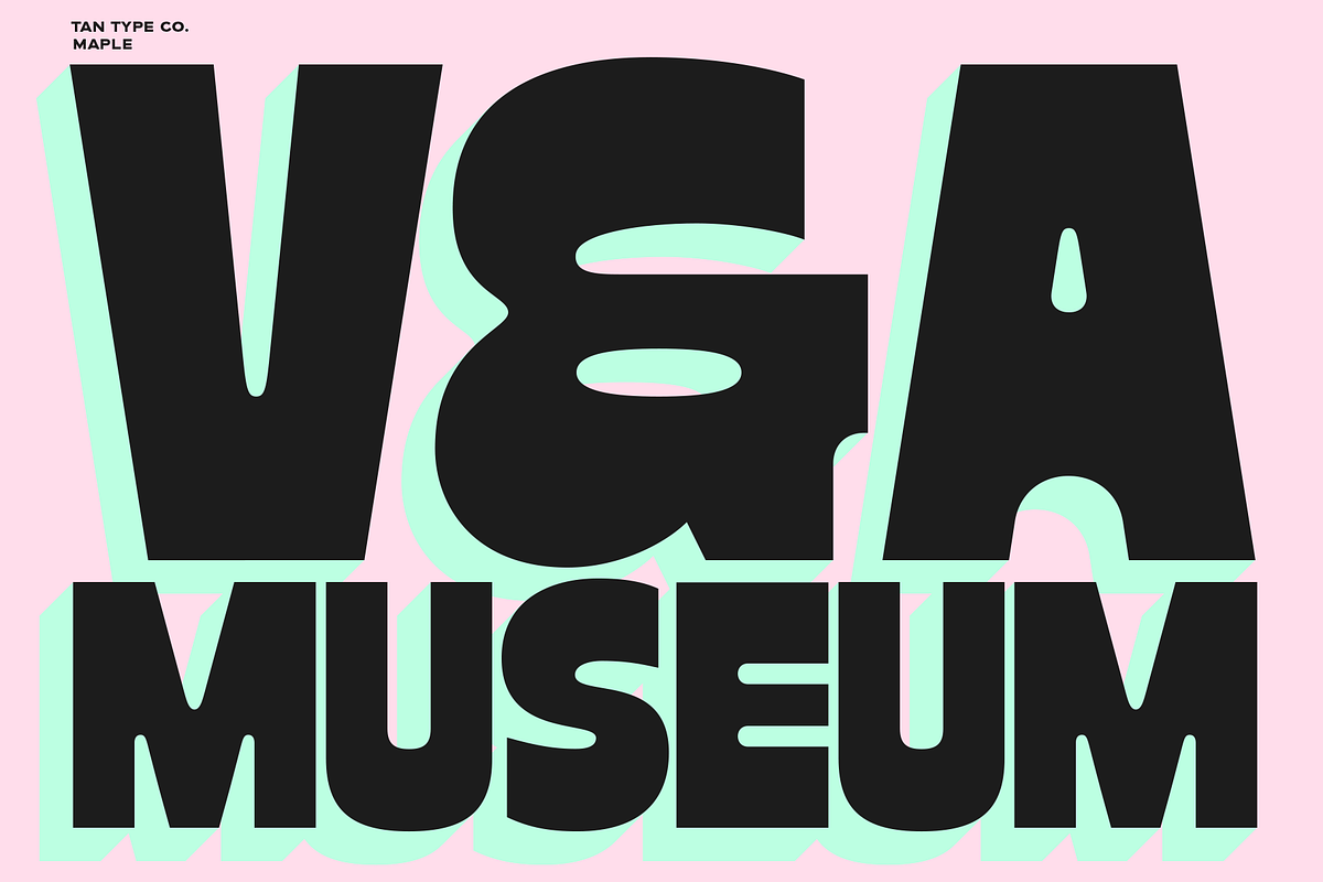 TAN - MAPLE, a Font by TanType (Photo 9 of 11)