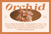 Rayken Rough, a Serif Font by Craft Supply Co. (Thumbnail 4 of 8)