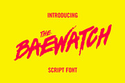 Baewatch Script Font, a Script Font by Scott Wilson (Thumbnail 1 of 3)