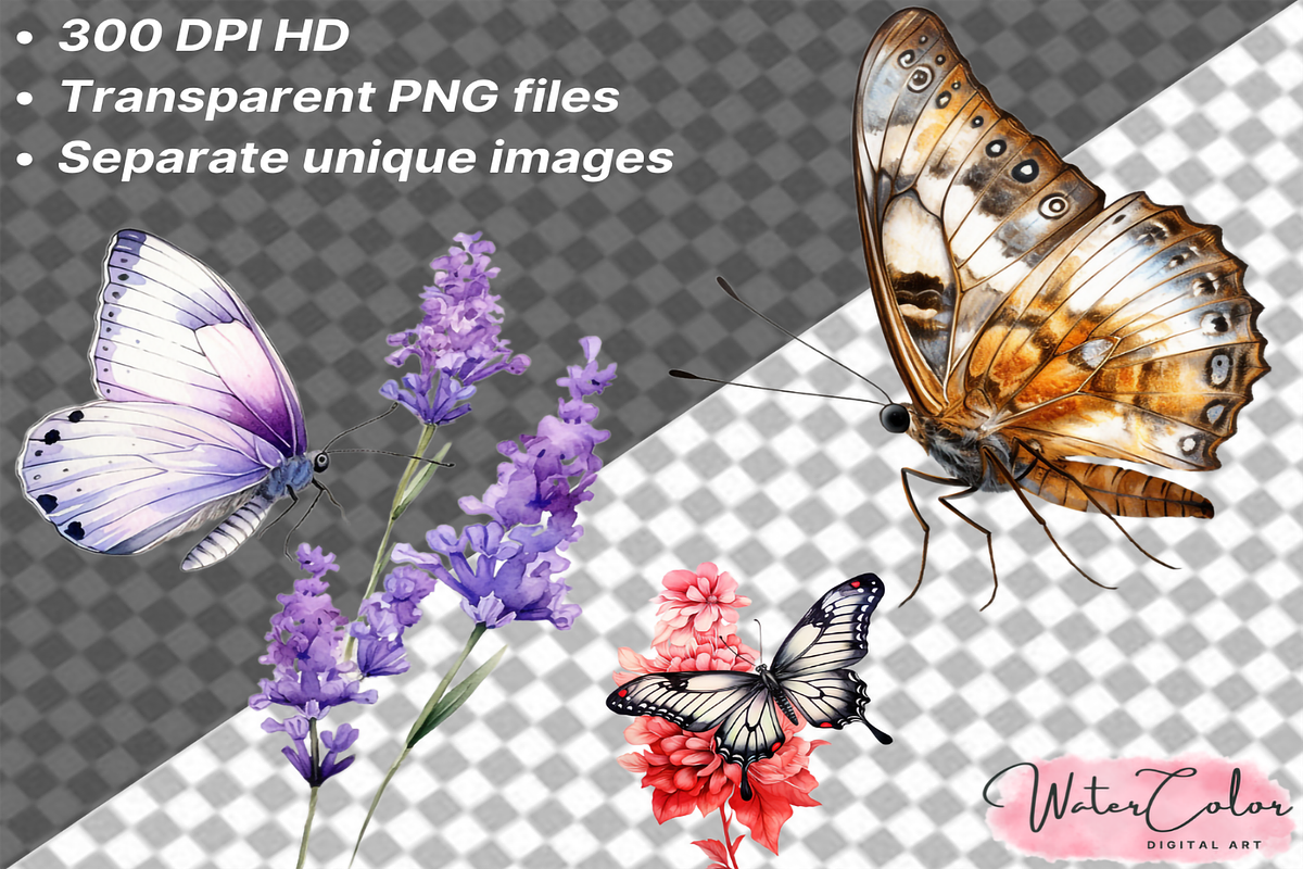 Botanical Butterfly Clipart Decor, a Decorative Illustration by Watercolor Digital (Photo 7 of 9)