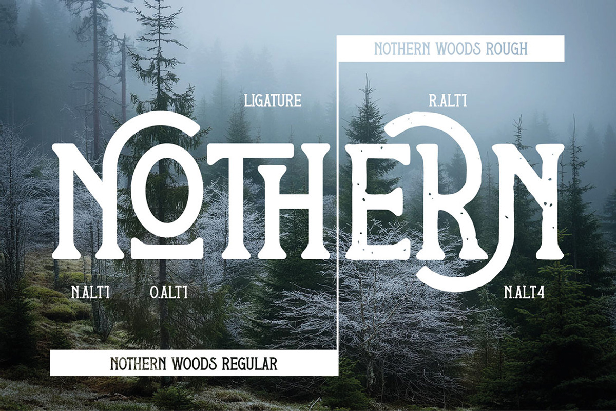 Nothern Woods Vintage Label Font, a Serif Font by JumboDesign (Photo 5 of 6)