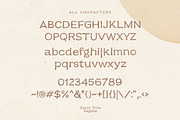 Earth Tone - Organic Sans Family, a Sans Serif Font by Sarid Ezra (Thumbnail 9 of 12)