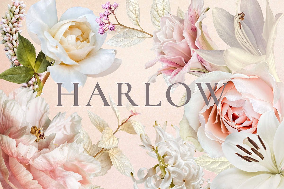 Harlow Floral Art Collection, an Object Graphic by Eclectic Anthology (Photo 13 of 13)