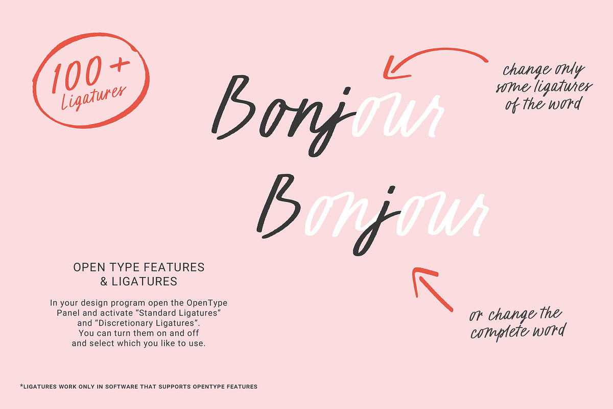 Script Font Duo Rouge +Blush, a Handwritten Font by pixelcolours (Photo 9 of 20)