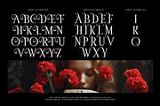 Deloca Moreys Typeface, a Serif Font by alit design (Thumbnail 15 of 20)