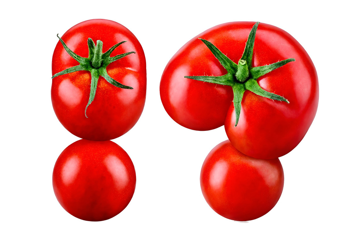 Fresh Tomato Font, a Font by Handmadefont (Photo 9 of 10)