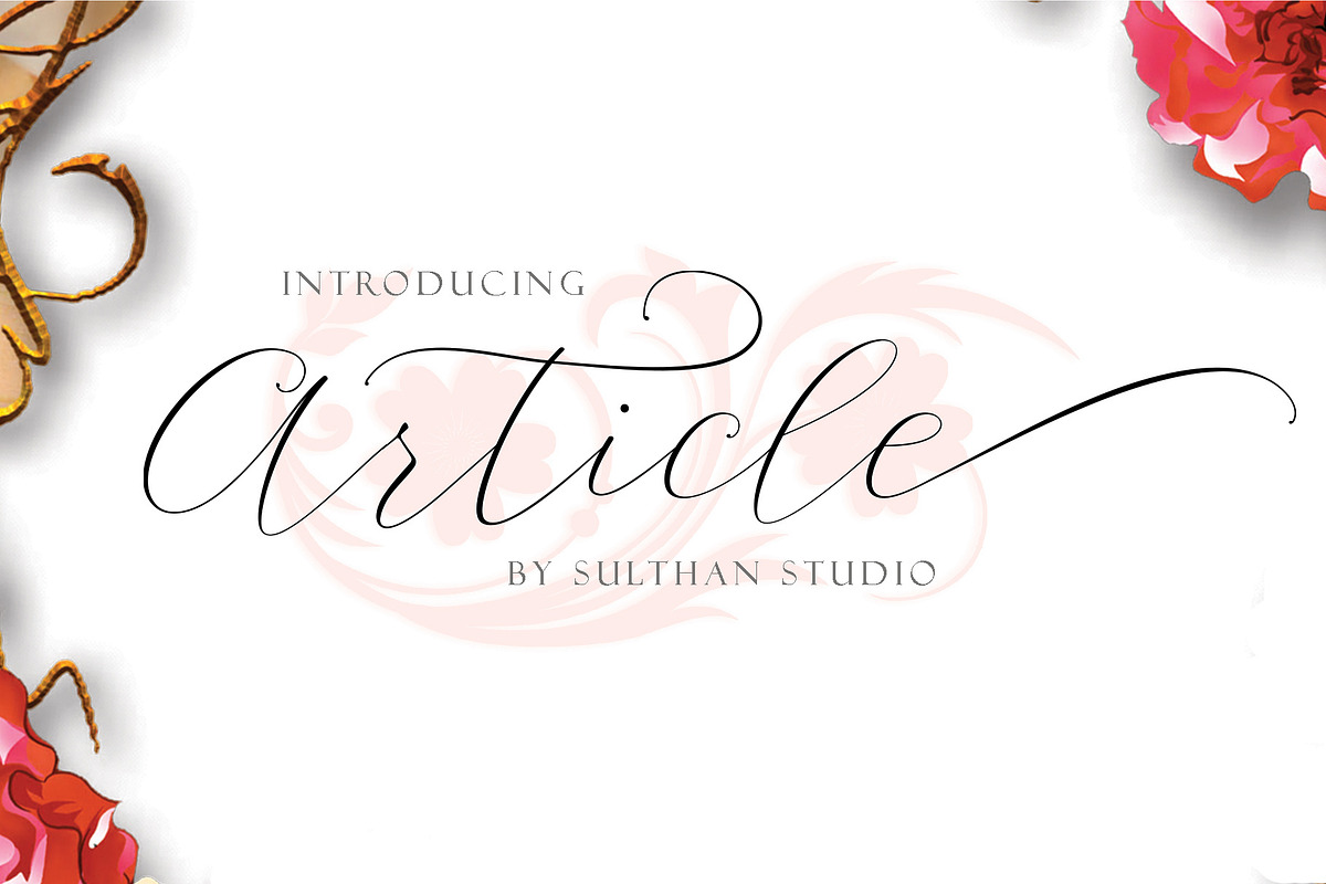 Swashy Font Bundle, a Script Font by Sulthan Studio