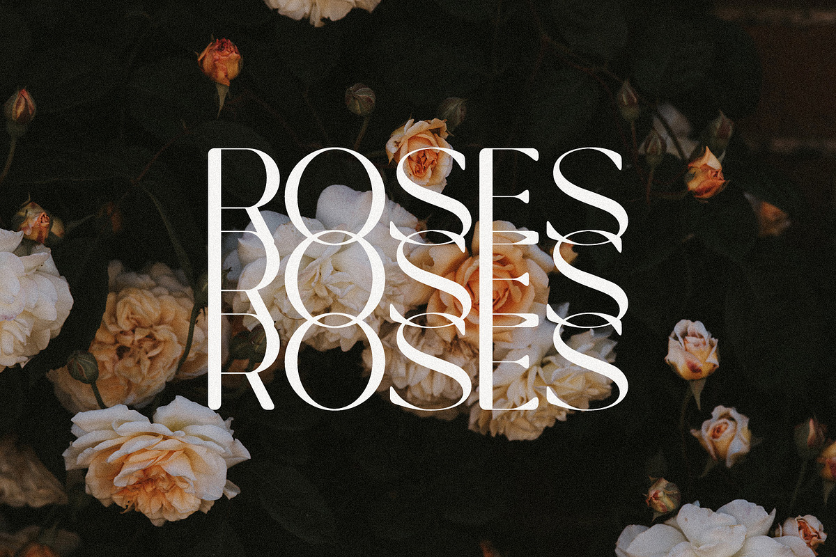 Montage - Round & Modern Sans Serif, a Sans Serif Font by Schrifted Type (Photo 3 of 8)