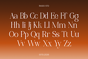 Pergale Modern Elegant Serif Font, a Serif Font by Rasio Studio (Thumbnail 2 of 9)