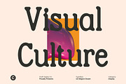 CS Wagner Drawn, a Serif Font by Craft Supply Co. (Thumbnail 6 of 8)