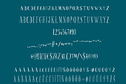 Scrabionau Font, a Slab Serif Font by PATCHPO (Thumbnail 4 of 7)