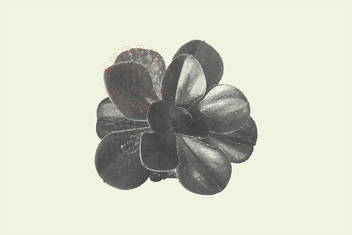 Succulent Halftones, a Texture Graphic by GhostlyPixels (Photo 9 of 13)