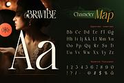 Bravibe, a Serif Font by Burntilldead (Thumbnail 2 of 11)