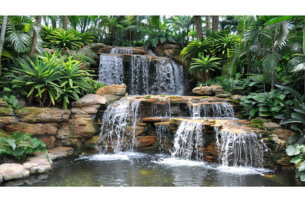 Tropical Waterfall in Lush Garden, a Nature Photo by Lermont51