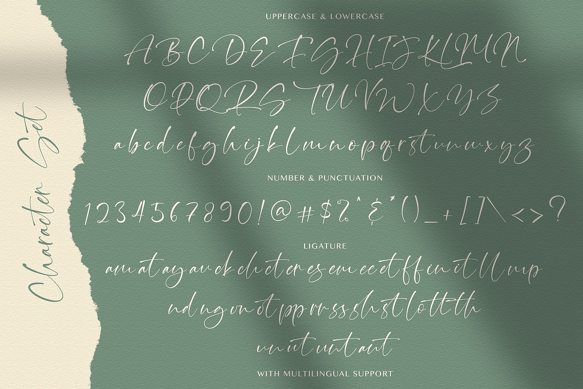 Thinker Script - Signature Font, a Script Font by StringLabs (Photo 8 of 8)