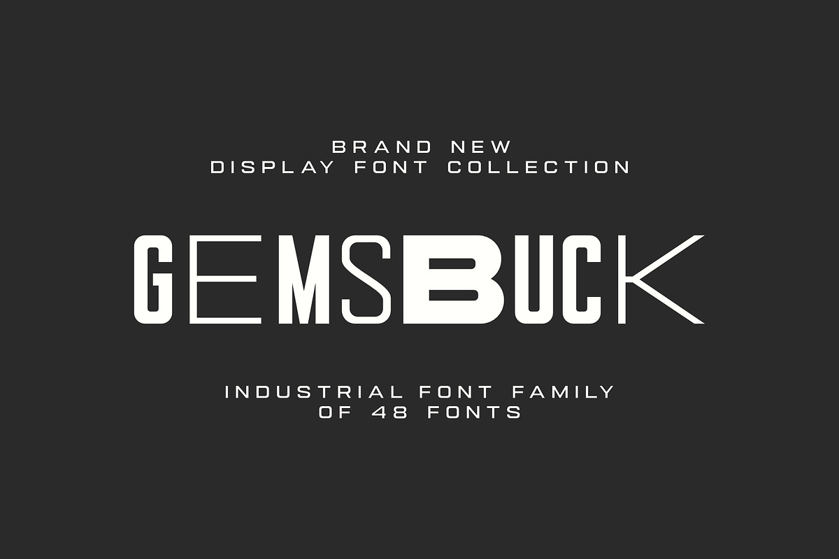 Gemsbuck Modern Vintage Font Family, a Sans Serif Font by Andika Fez (Photo 1 of 13)