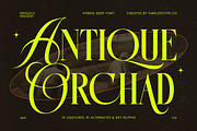 Antique Orchad Hybrid Serif Font, a Serif Font by timelesstype.co (Thumbnail 1 of 20)