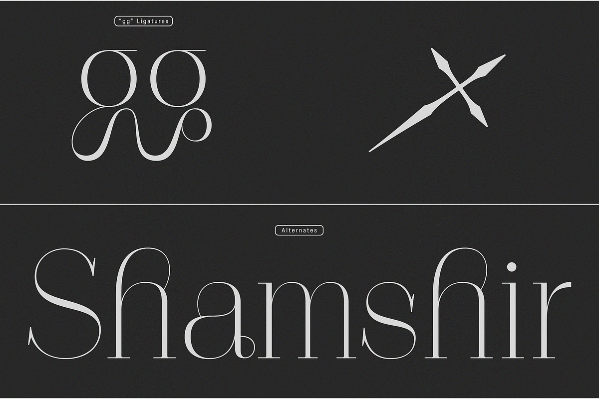 Polyglot Neue, a Serif Font by MJtypefoundry (Photo 10 of 13)
