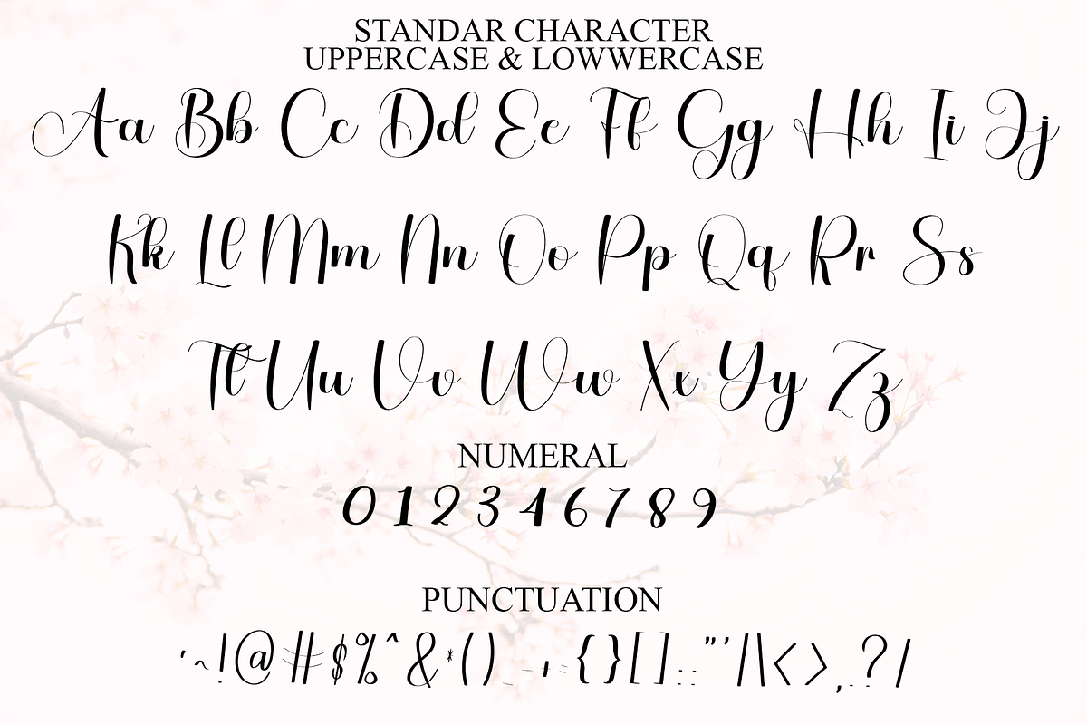 01 Alphabet Signature, a Handwritten Font by InermediaSTUDIO (Photo 7 of 8)