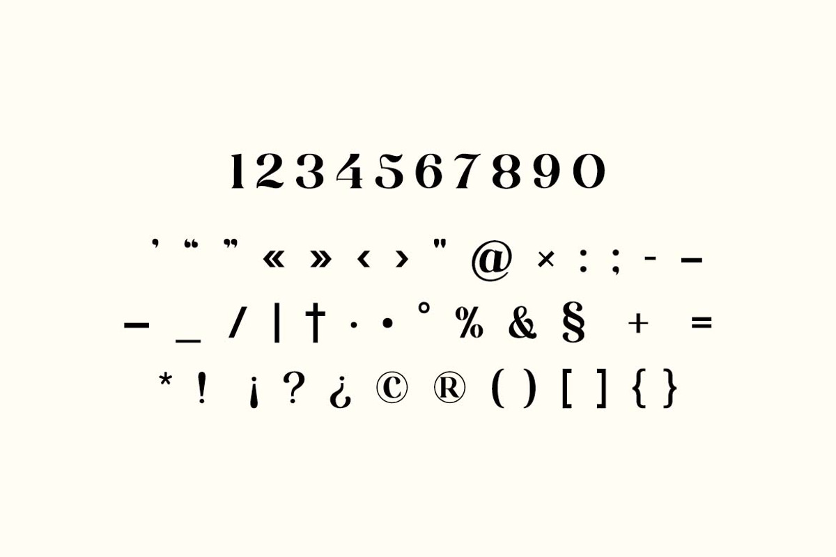 Monarch Paradox Vintage Serif Font, a Serif Font by UICreative (Photo 4 of 13)