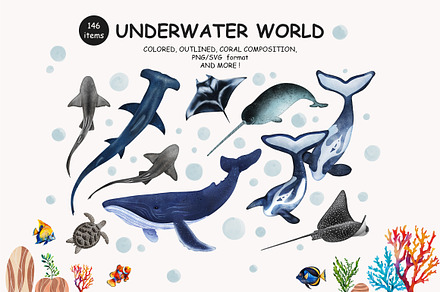Watercolor Sea Animals collection