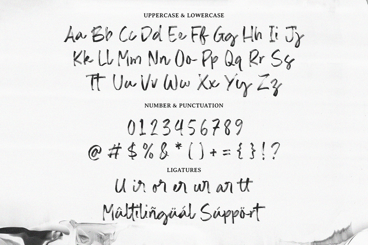 Lorient Gallery Font, a Handwritten Font by Timurtype (Photo 6 of 7)