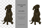 Chocolate Labrador Illustration, an Illustration by Shiny Penny Studio (Thumbnail 2 of 2)