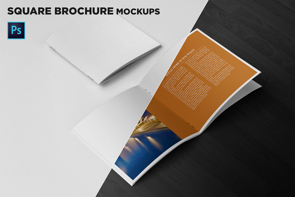 Square Brochure Mockups, a Print Template by Andre28 (Photo 1 of 7)