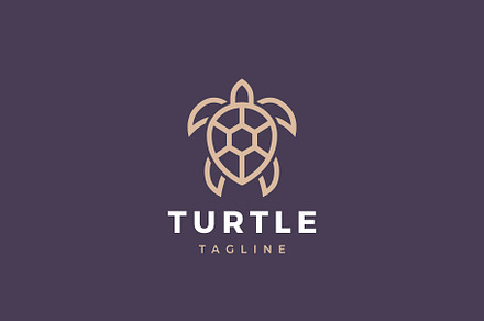 Turtle logo design.