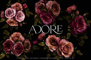 Adore Realistic Romantic Roses, an Object Graphic by Eclectic Anthology (Thumbnail 7 of 11)