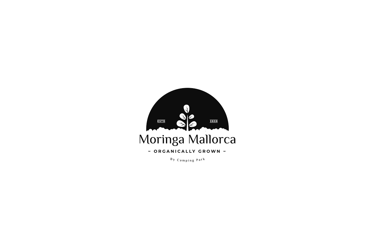 Moringa Leaf Logo, a Branding & Logo Template by zuhudsgn (Photo 3 of 3)