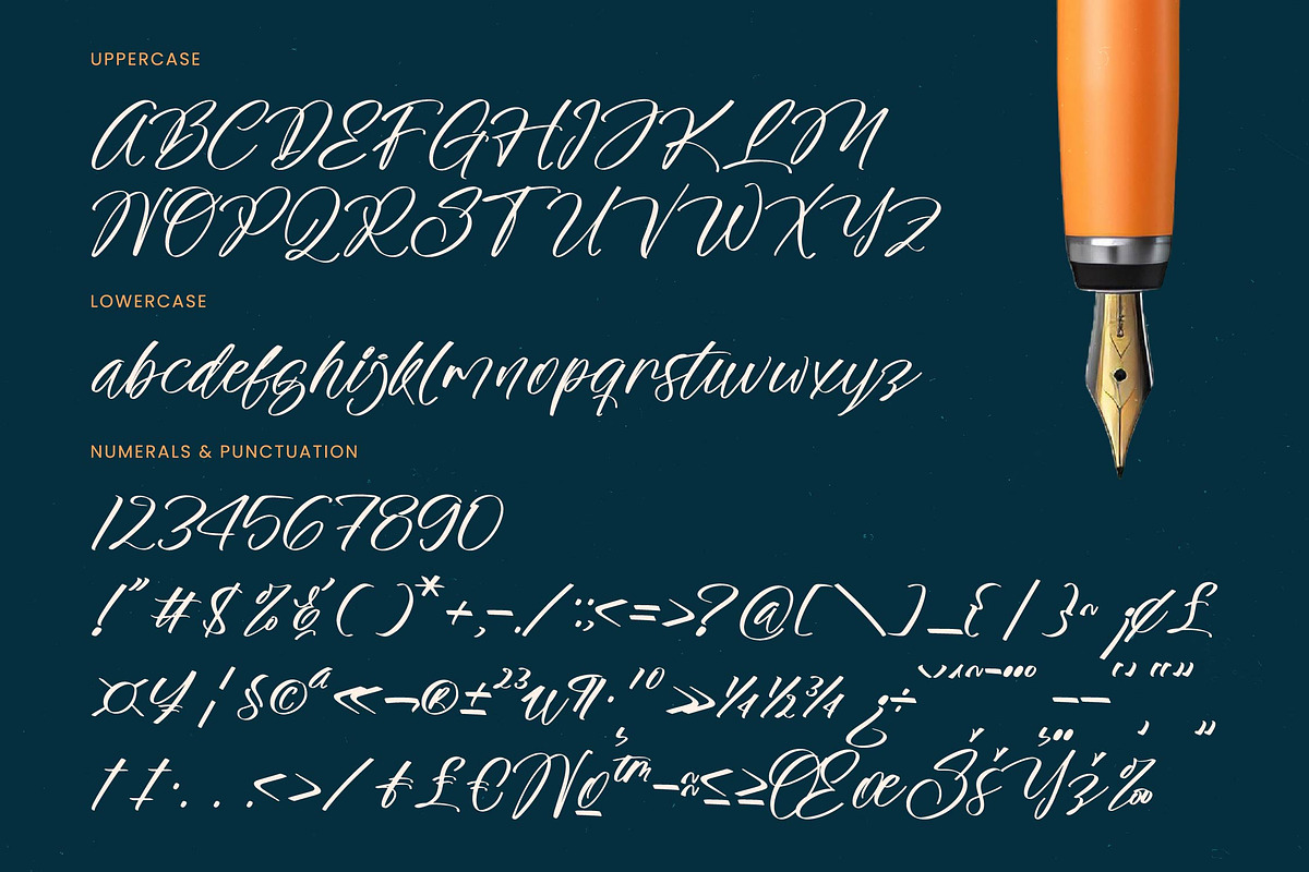 The Newyork Bold Handwritten Font, a Script Font by stylishtype.co (Photo 18 of 20)