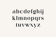 Aglycones Elegant Serif Display Font, a Serif Font by UICreative (Thumbnail 3 of 13)
