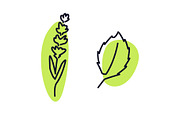 Handdrawn Leaves Nature Concept, an Outline Icon by Black White Mouse Design (Thumbnail 4 of 4)