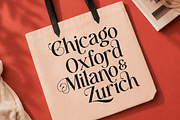 Beauty Luxury Serif Font - Anolera, a Serif Font by Font Liner (Thumbnail 6 of 10)