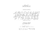 House of Montague - Classic Font Duo, a Serif Font by ikiiko (Thumbnail 7 of 8)