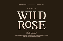 Wild Rose: Modern Minimal Serif Font
