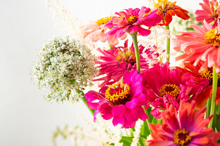 Home decoration with flowers, a Nature Photo by Pandateam