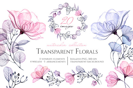 Watercolor Transparent Florals set