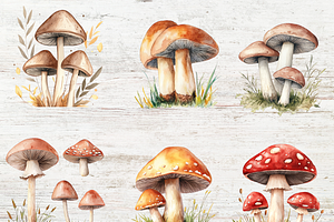 Watercolor Mushrooms Clipart Bundles