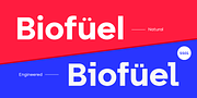 Biotic, a Sans Serif Font by TypeUnion (Thumbnail 2 of 15)